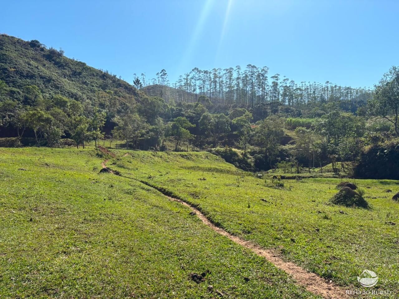 Terreno, 24 hectares - Foto 31
