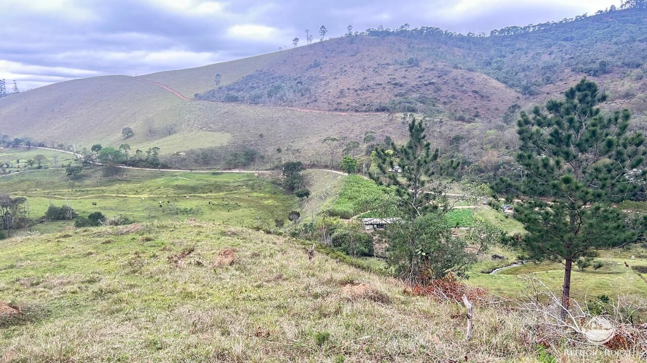 Terreno, 24 hectares - Foto 10