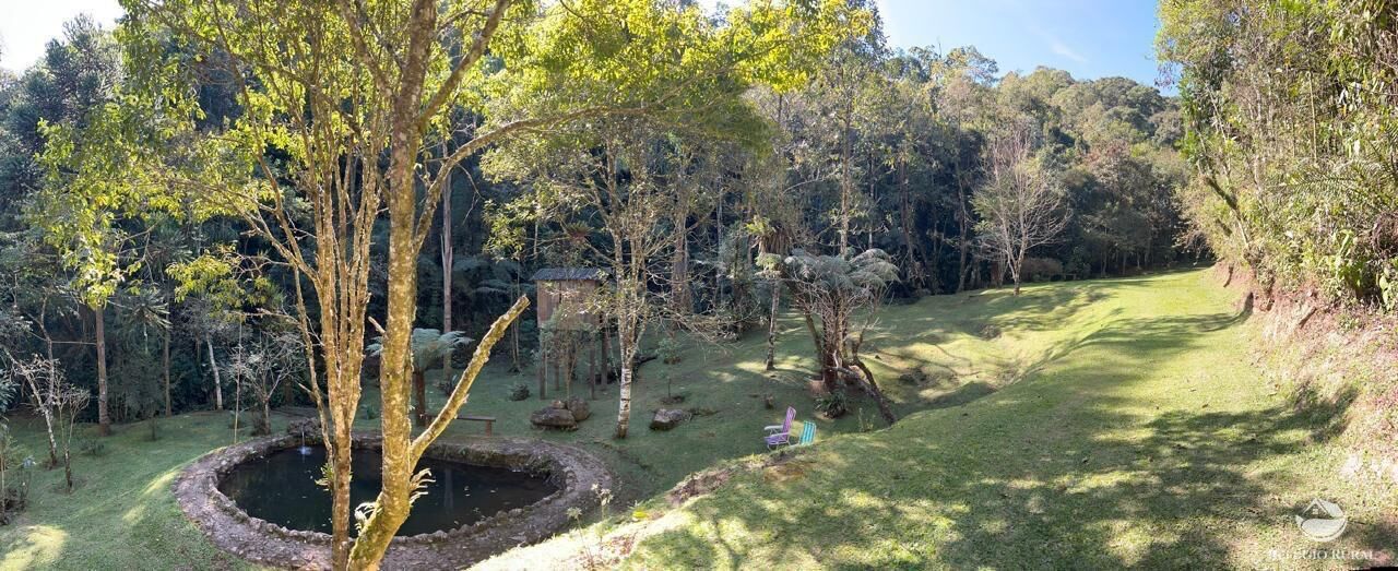 Chácara, 24 hectares - Foto 14