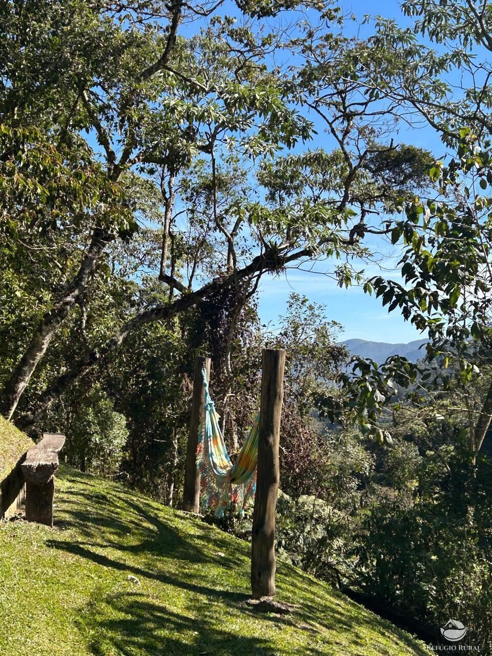 Chácara, 24 hectares - Foto 10