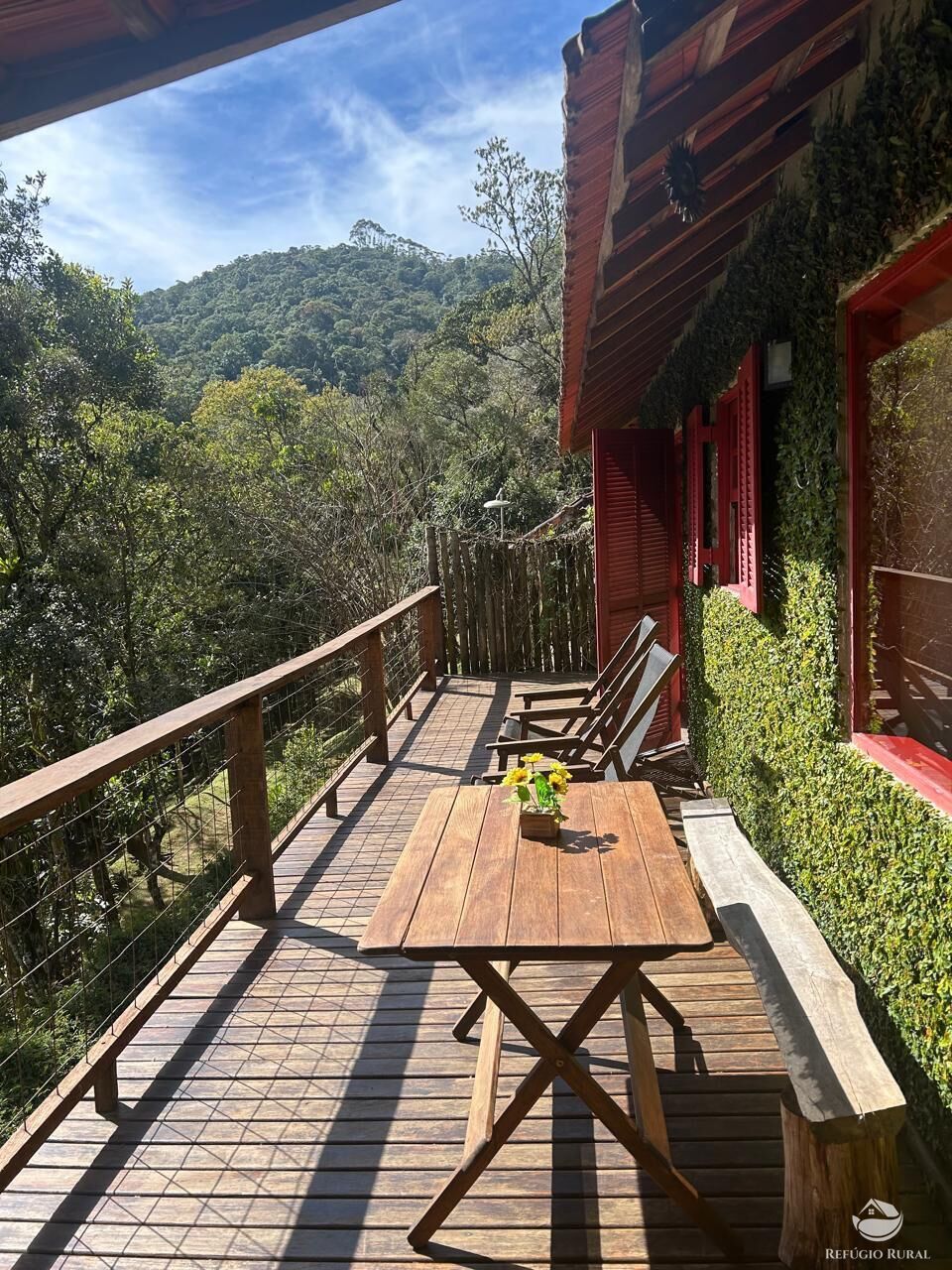 Chácara, 24 hectares - Foto 4