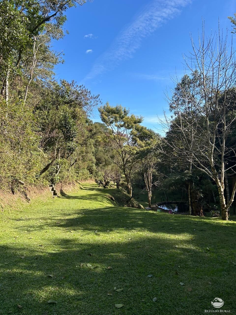 Chácara, 24 hectares - Foto 8