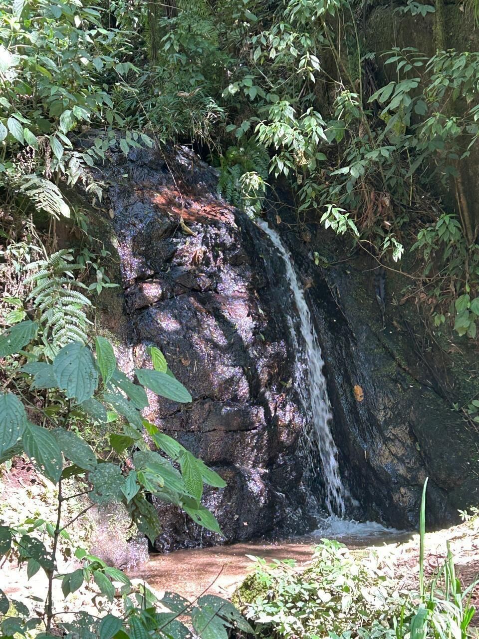 Chácara, 24 hectares - Foto 12