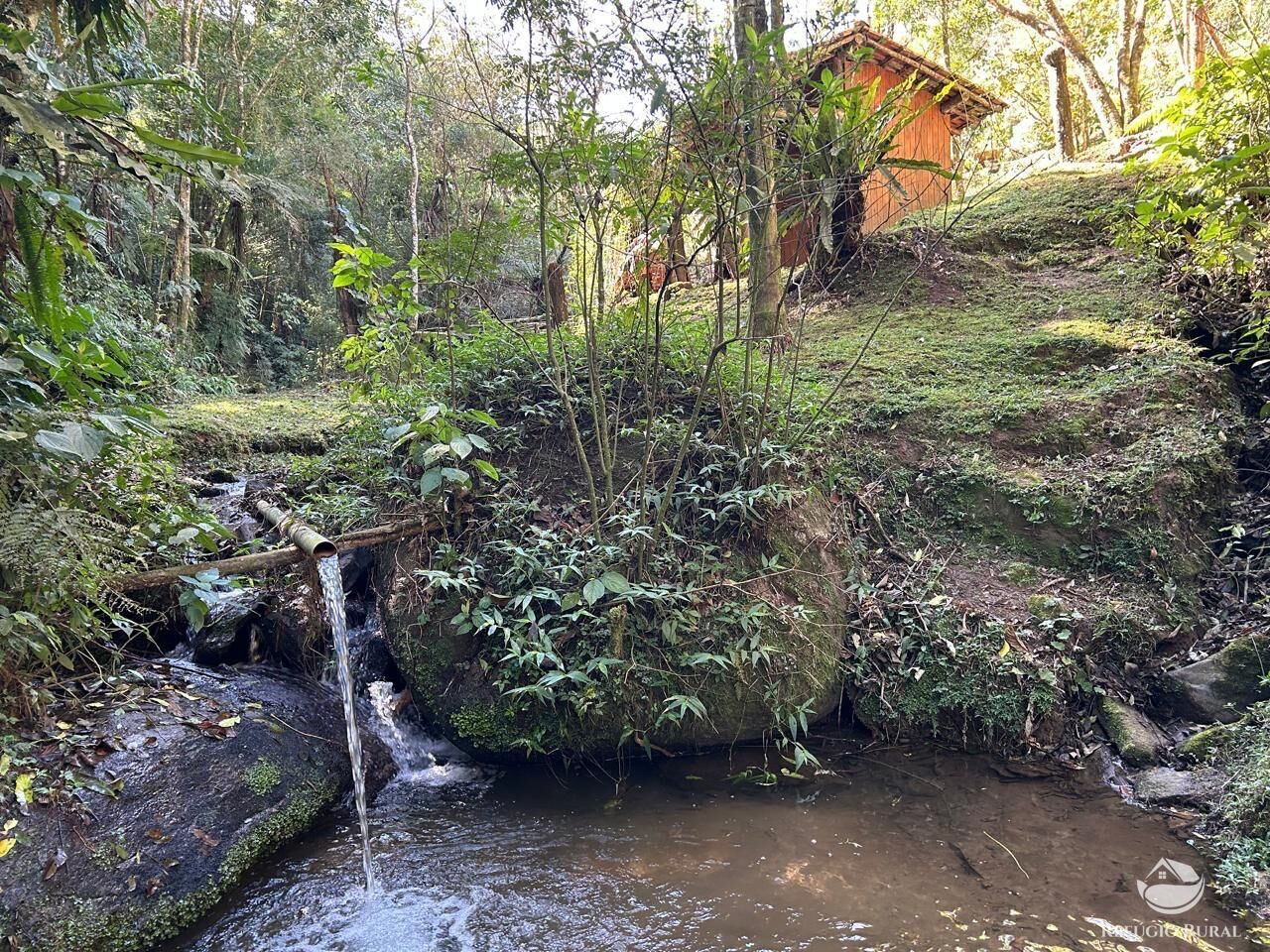 Chácara, 24 hectares - Foto 7