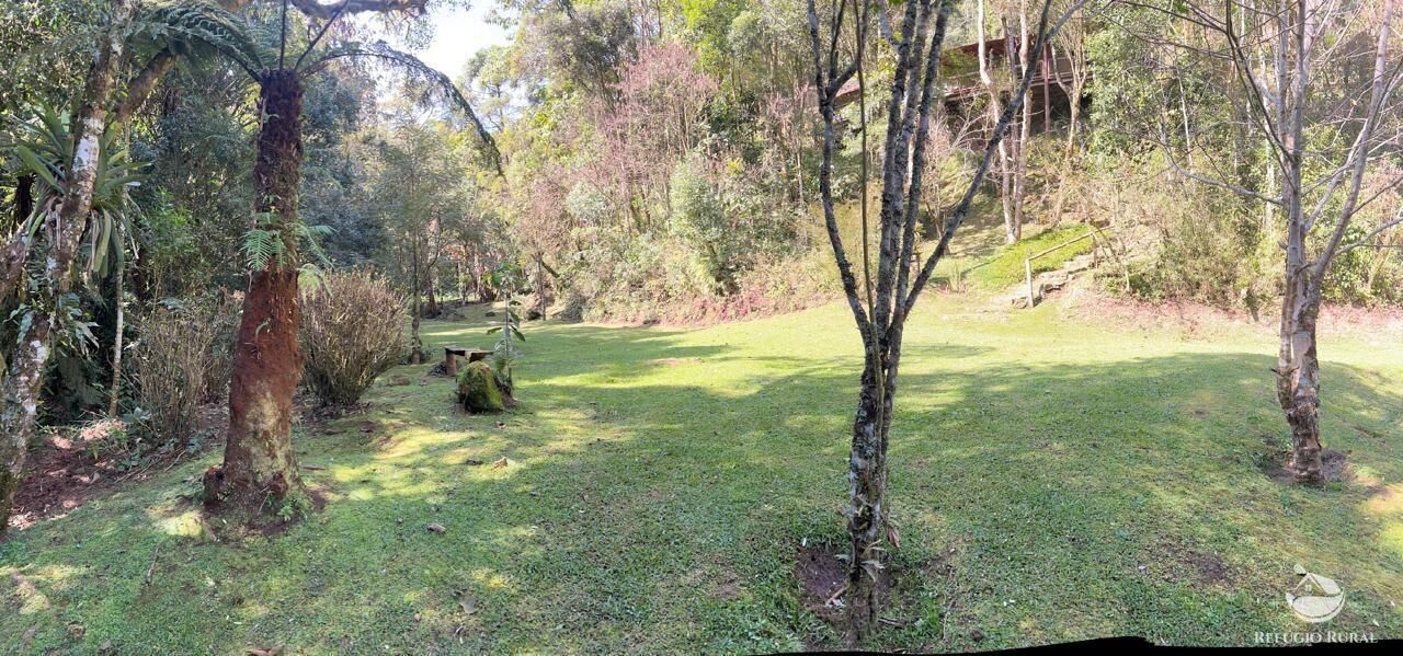 Chácara, 24 hectares - Foto 35
