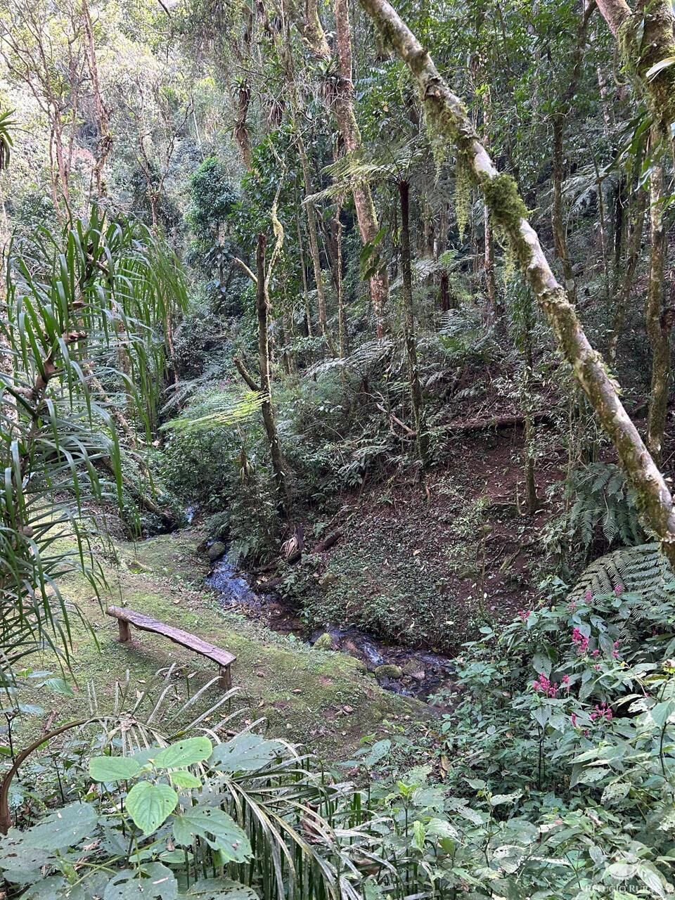 Chácara, 24 hectares - Foto 13