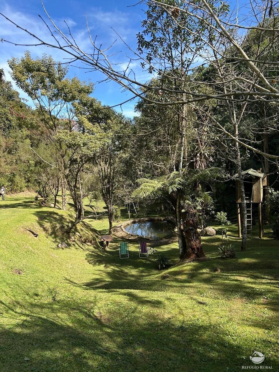 Chácara, 24 hectares - Foto 33