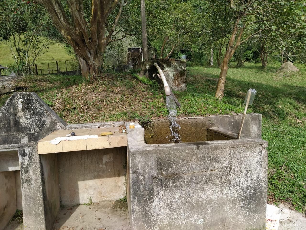 Sítio, 48 hectares - Foto 19