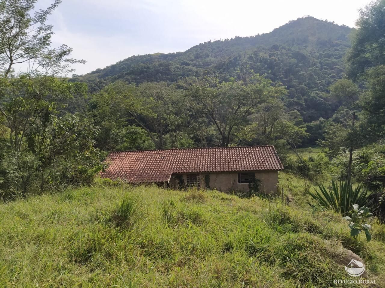 Sítio, 48 hectares - Foto 25