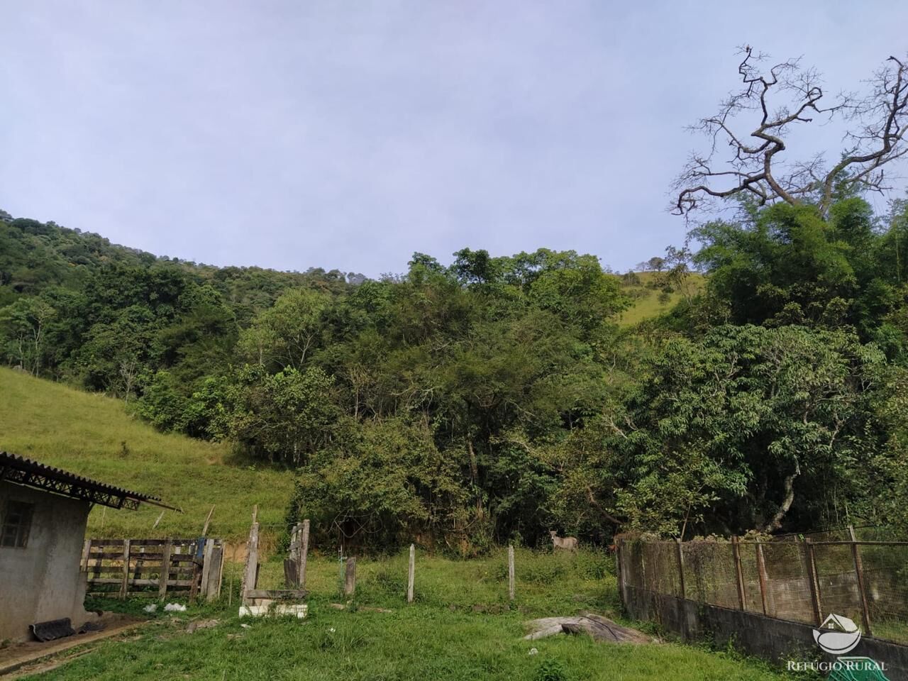 Sítio, 48 hectares - Foto 16