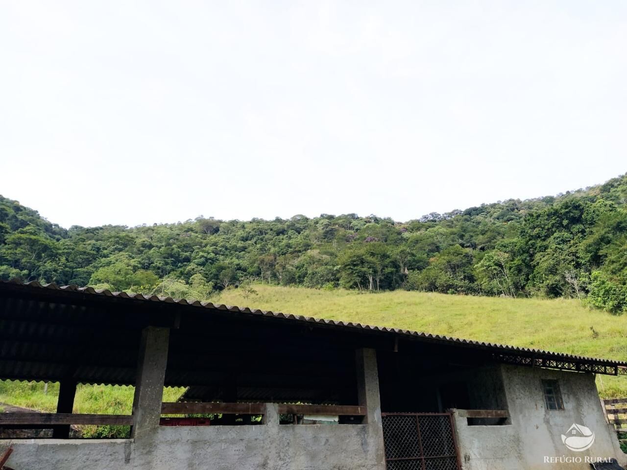 Sítio, 48 hectares - Foto 15