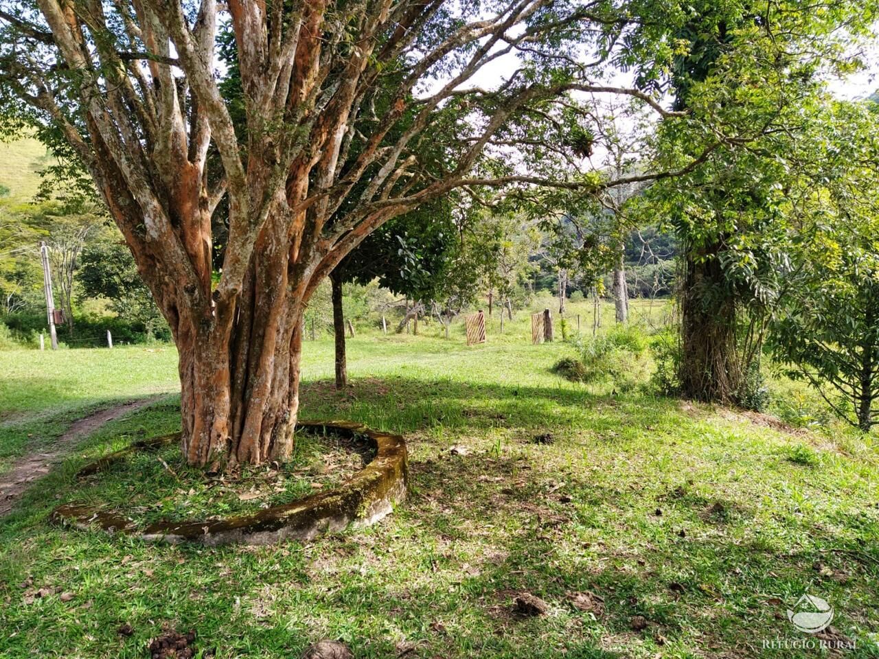 Sítio, 48 hectares - Foto 18