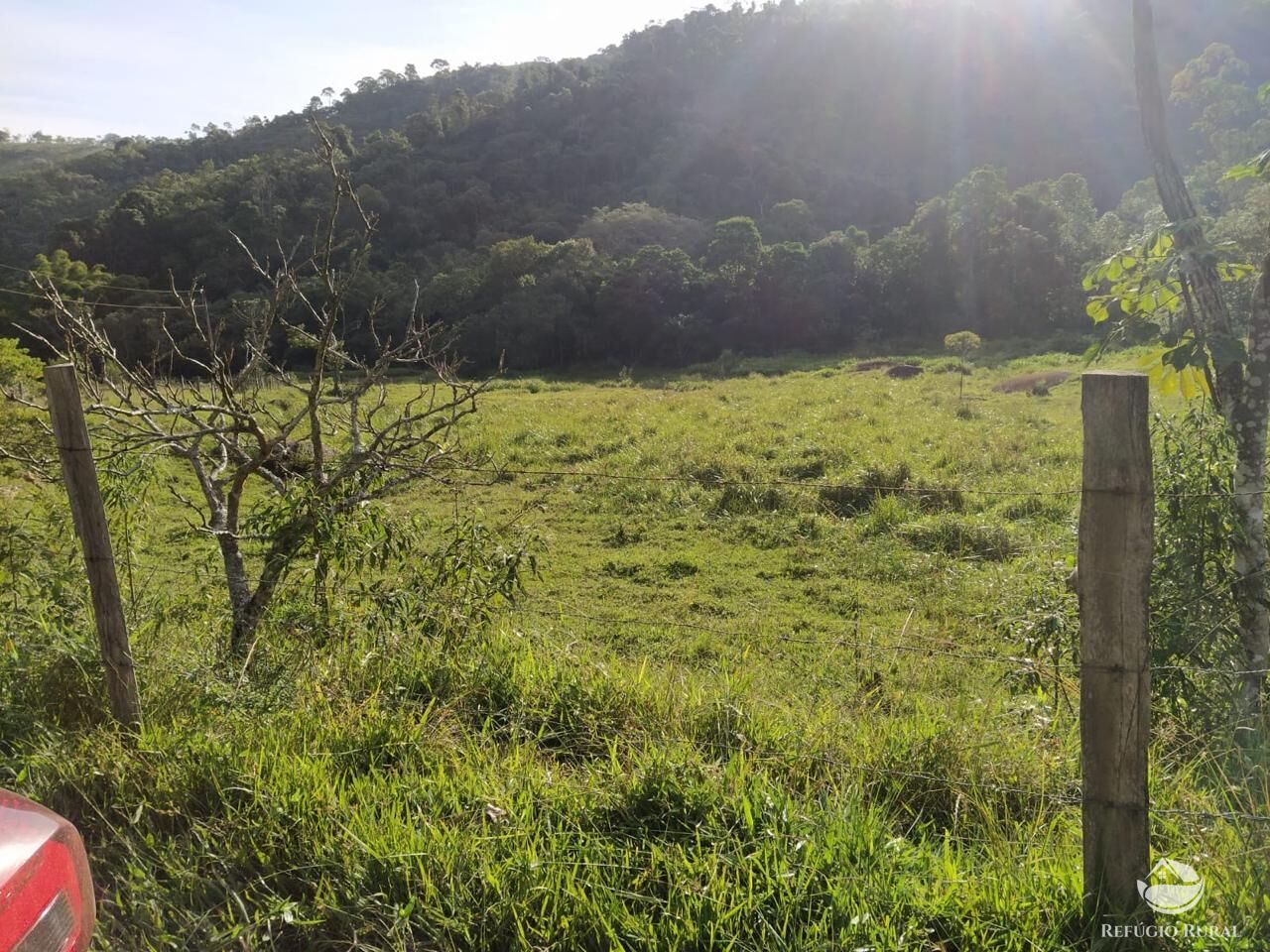 Sítio, 48 hectares - Foto 13