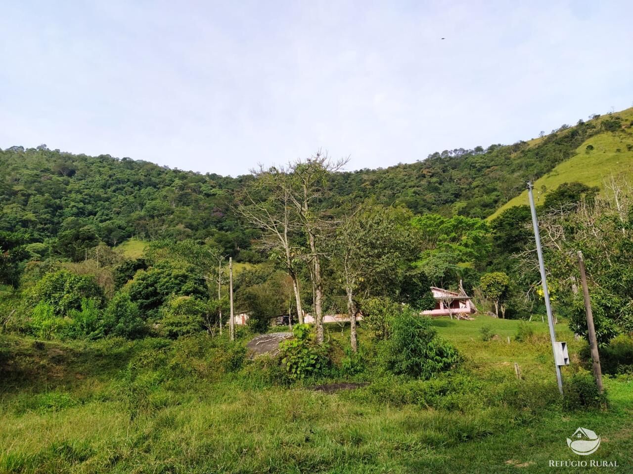 Sítio, 48 hectares - Foto 20