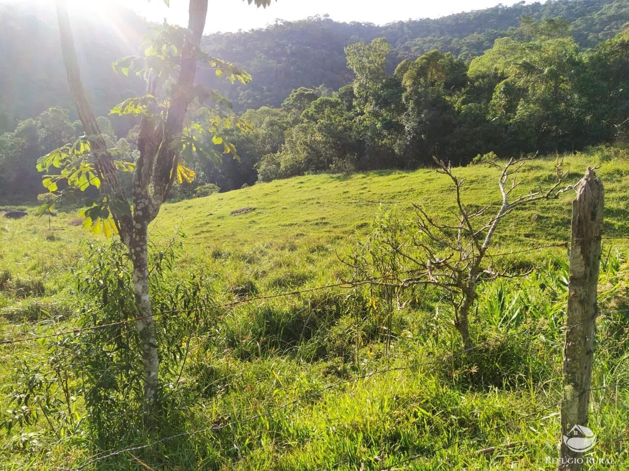 Sítio, 48 hectares - Foto 8