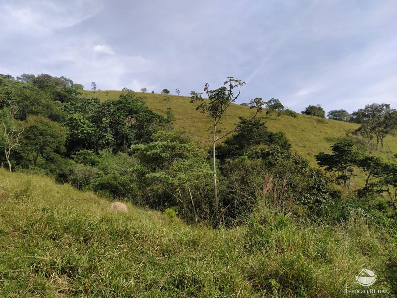 Sítio, 48 hectares - Foto 31