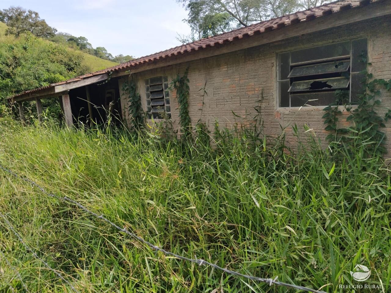 Sítio, 48 hectares - Foto 33