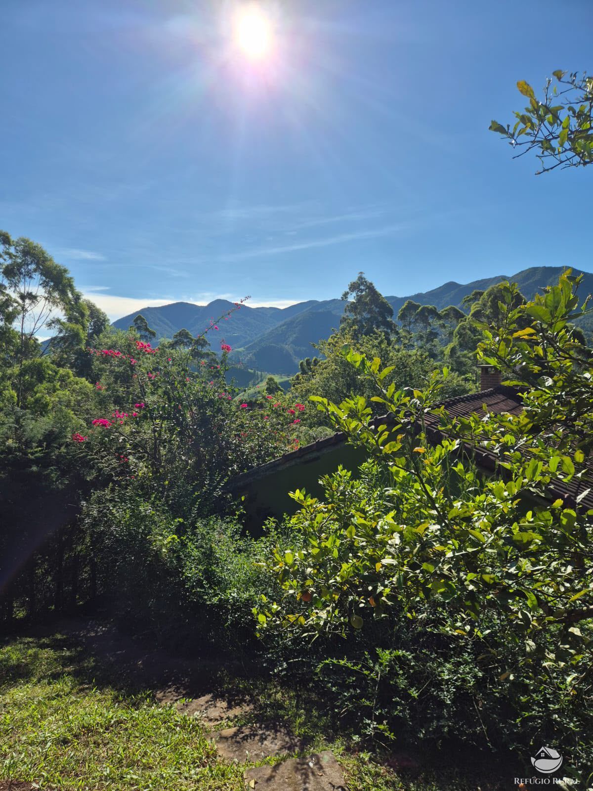 Sítio, 1400 m² - Foto 16