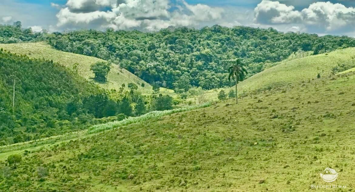 Sítio, 21 hectares - Foto 4