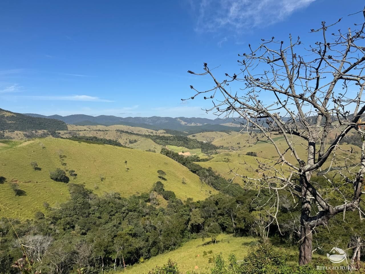 Fazenda, 72 hectares - Foto 4