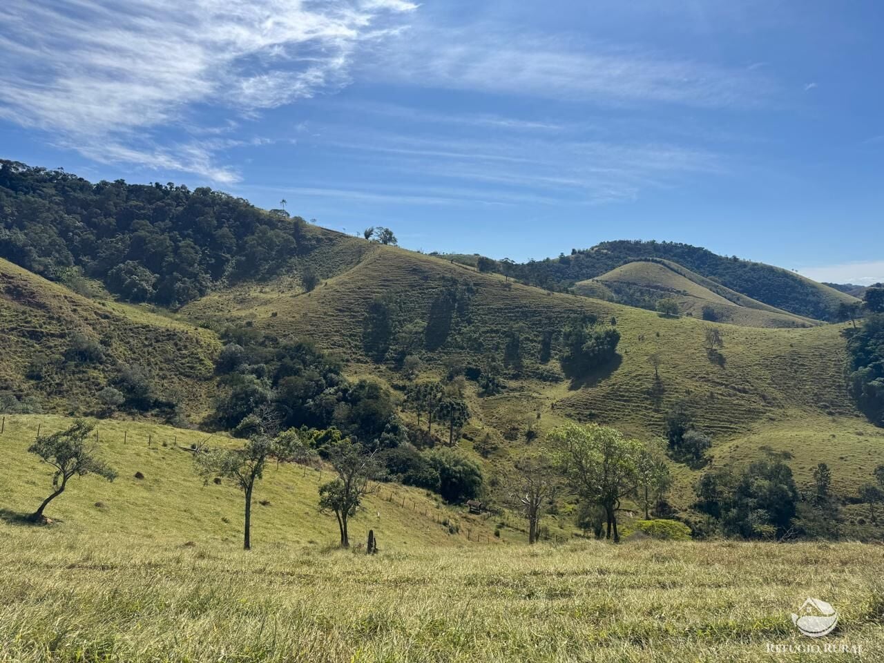 Fazenda, 72 hectares - Foto 6