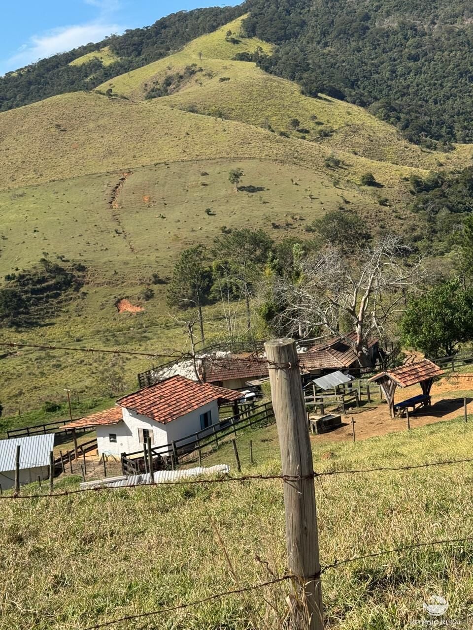 Fazenda, 72 hectares - Foto 7