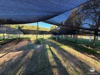 Chácara, 2 hectares - Foto 38