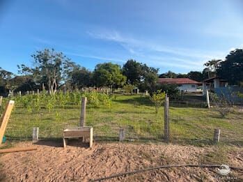 Chácara, 2 hectares - Foto 7