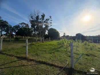 Chácara, 2 hectares - Foto 8