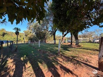 Chácara, 2 hectares - Foto 42