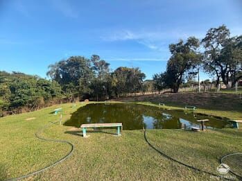 Chácara, 2 hectares - Foto 4