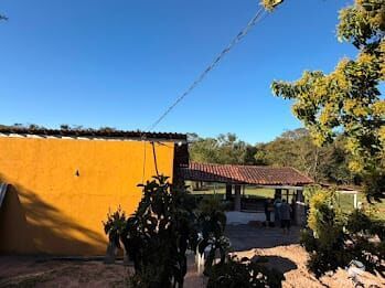Chácara, 2 hectares - Foto 34