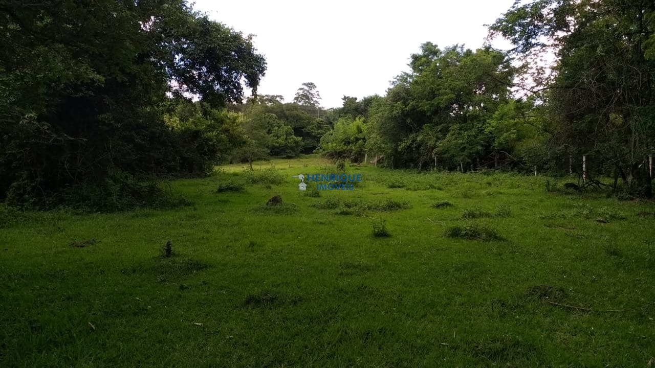 Foto 01