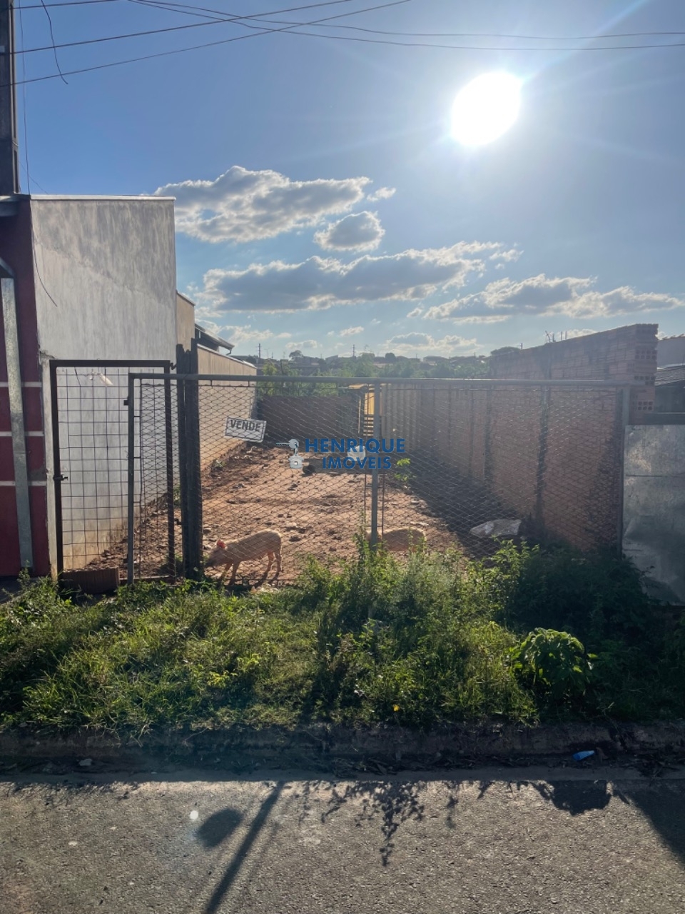 Foto 01