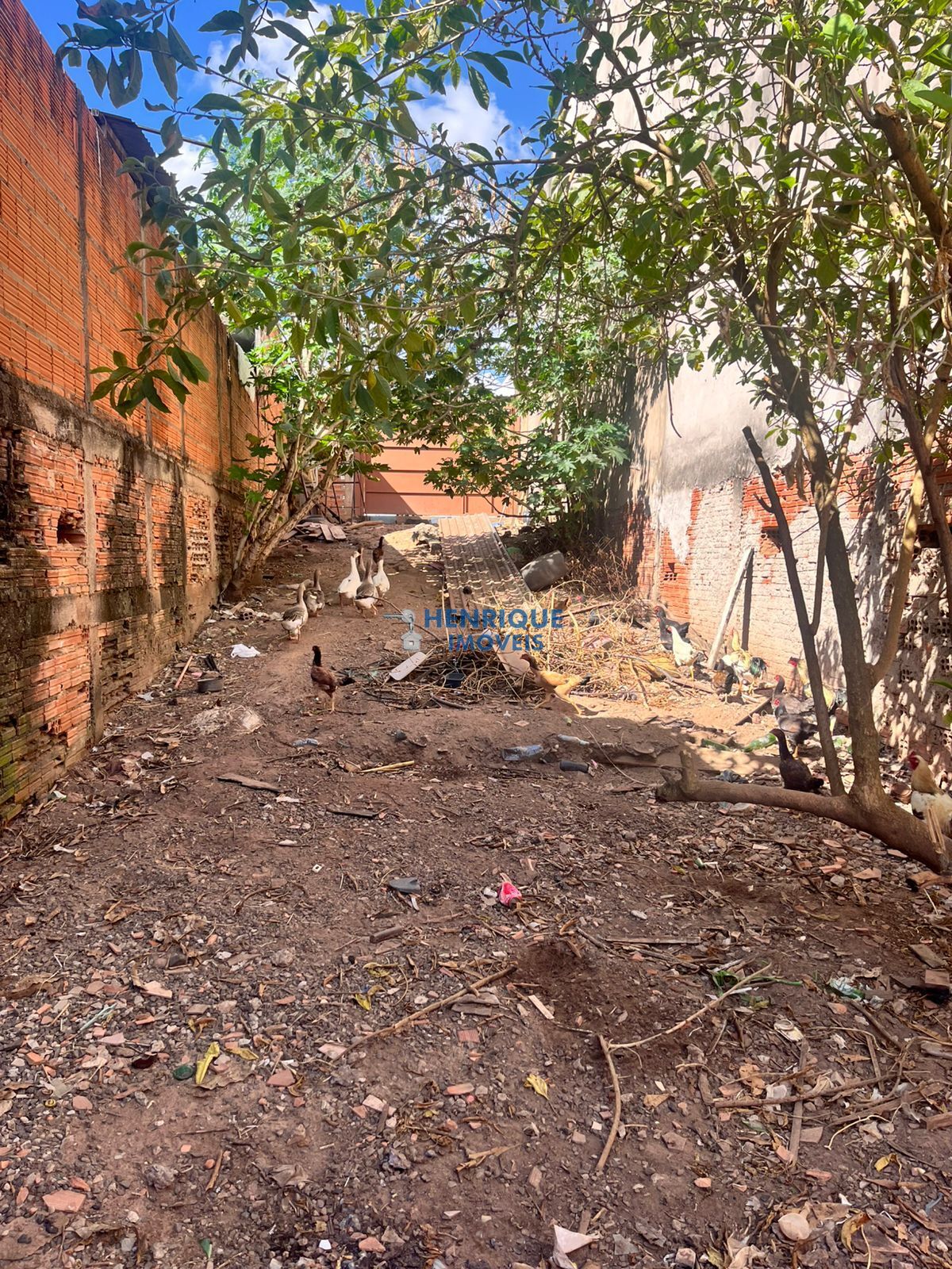 Imagem principal do imóvel