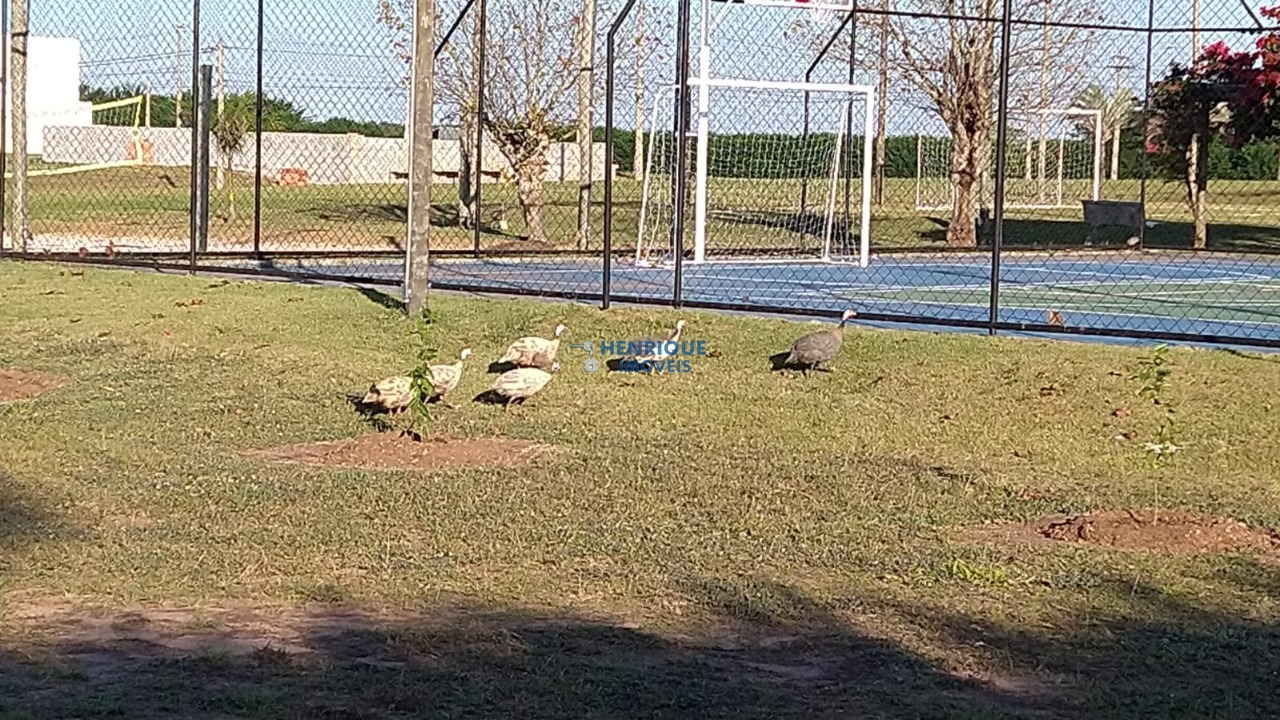 Foto 01