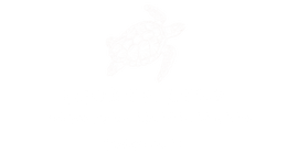 Andrea Lenz Negócios Imobiliários