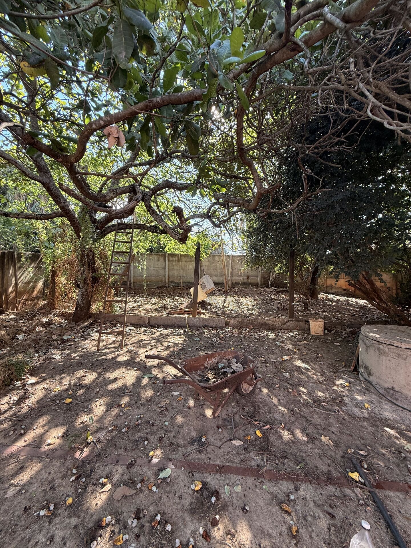 Terreno, 650 m² - Foto 7