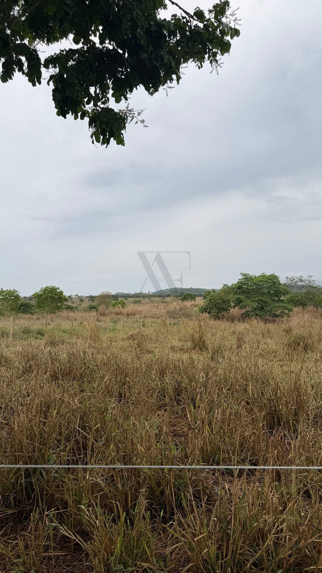 Chácara, 1 quarto, 2 hectares - Foto 14
