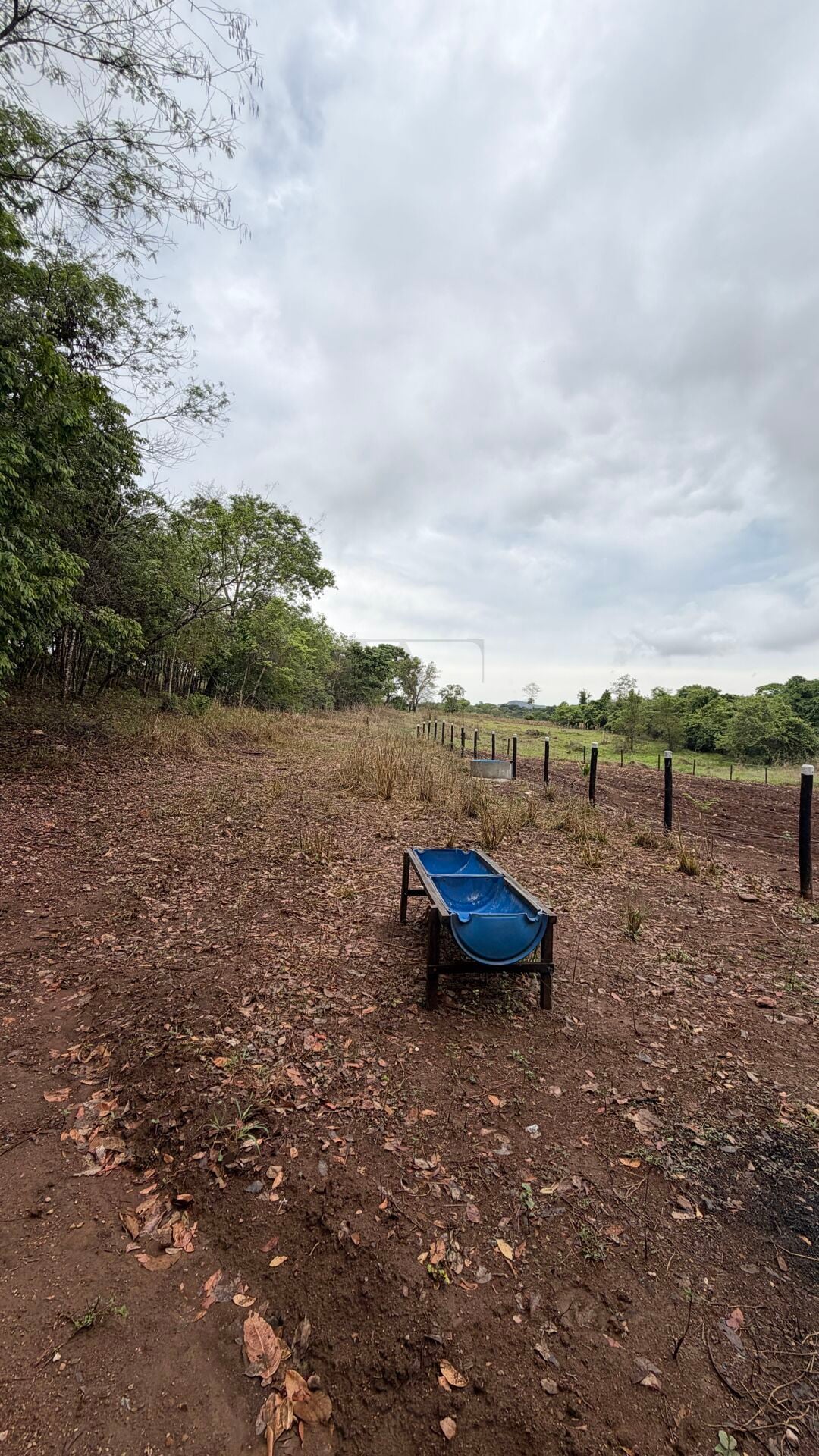 Chácara, 1 quarto, 2 hectares - Foto 10