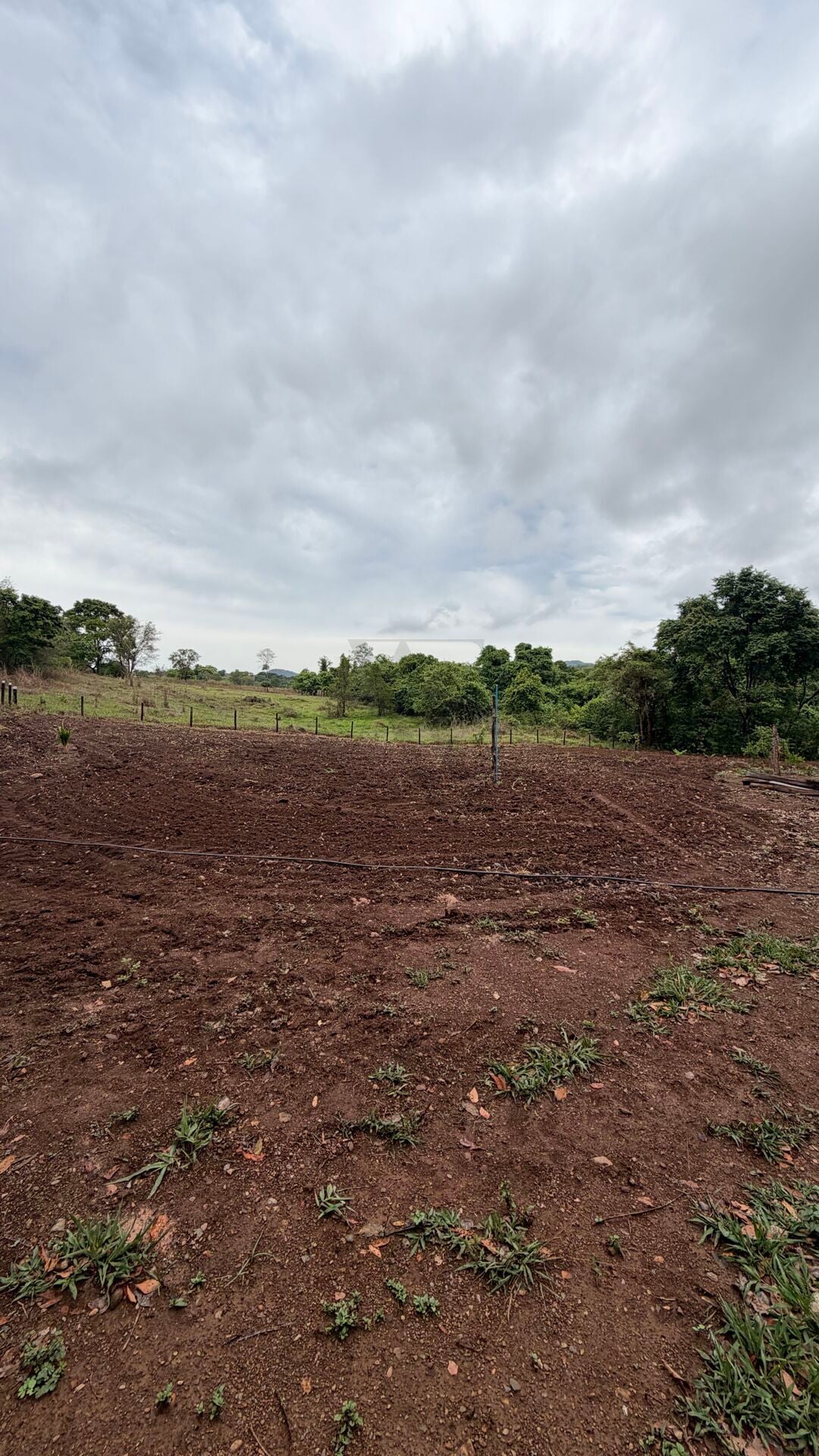 Chácara, 1 quarto, 2 hectares - Foto 8