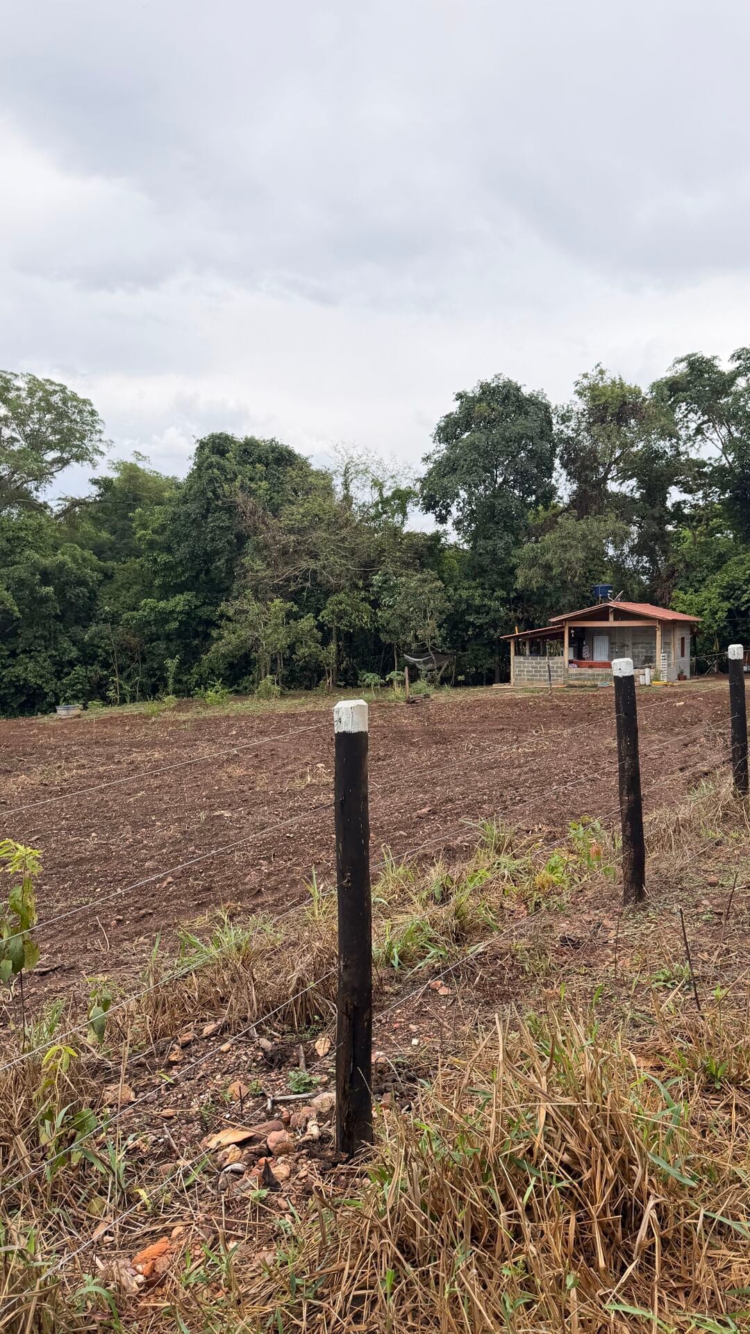 Chácara, 1 quarto, 2 hectares - Foto 2