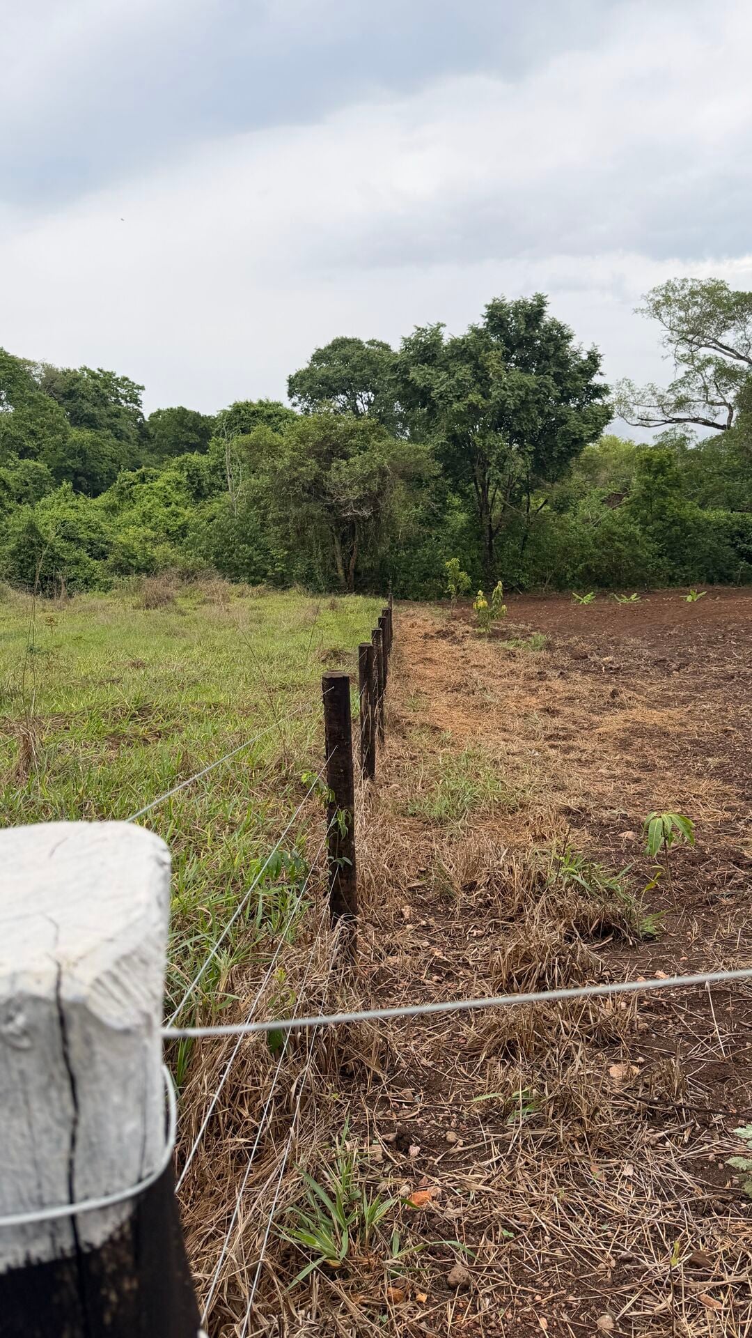 Chácara, 1 quarto, 2 hectares - Foto 13