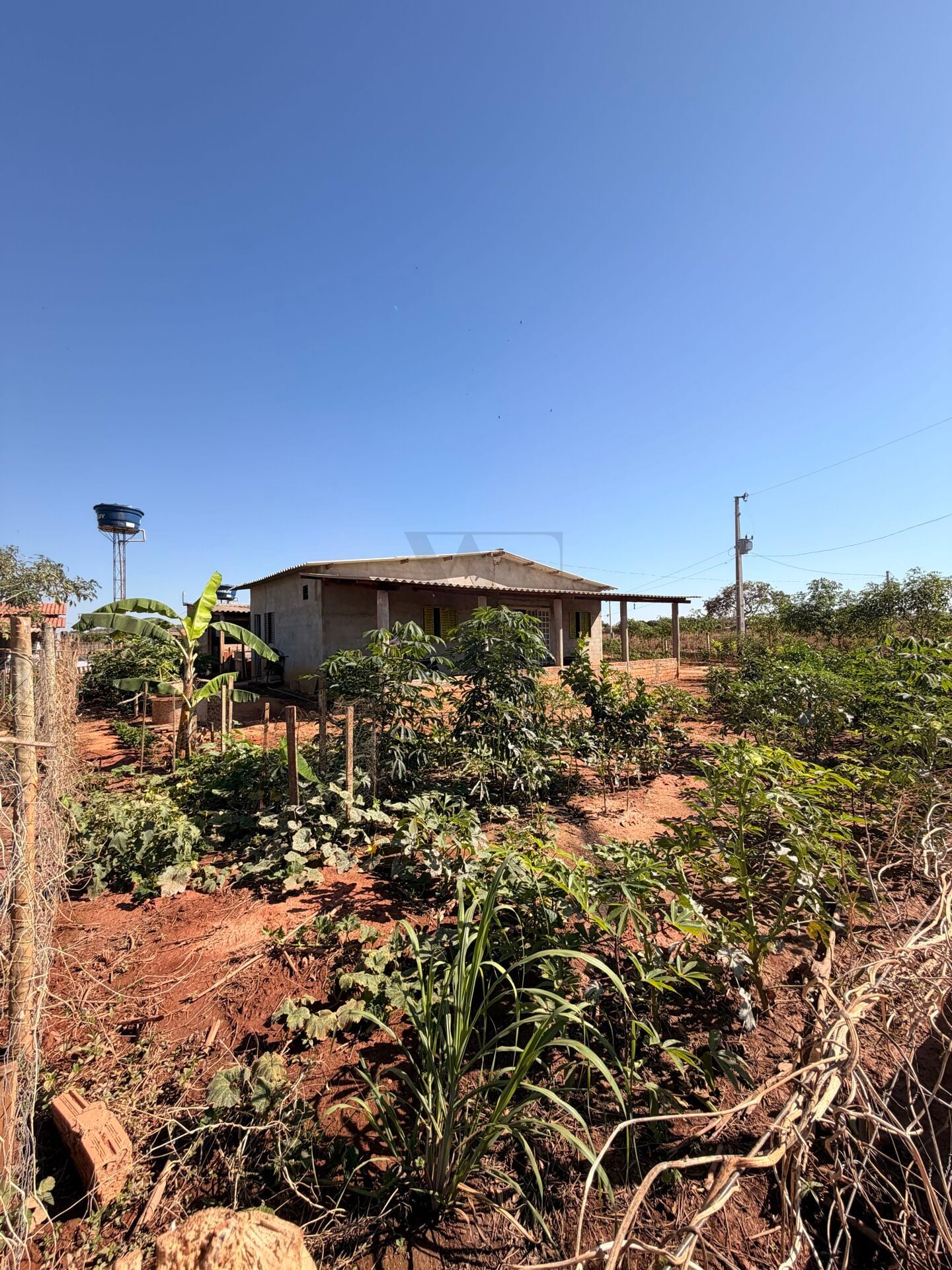Sítio, 2 quartos, 468 m² - Foto 3