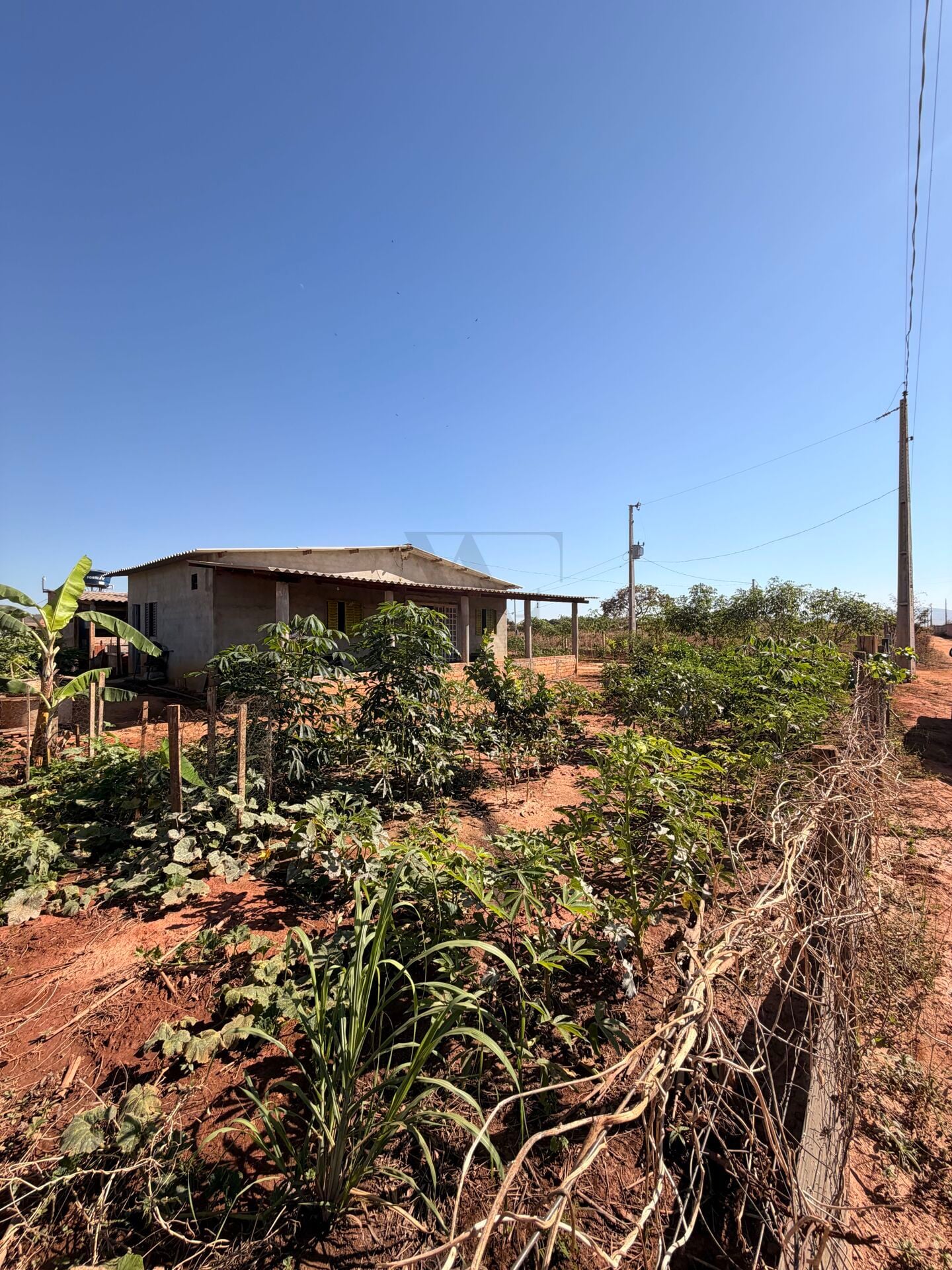 Sítio, 2 quartos, 468 m² - Foto 1