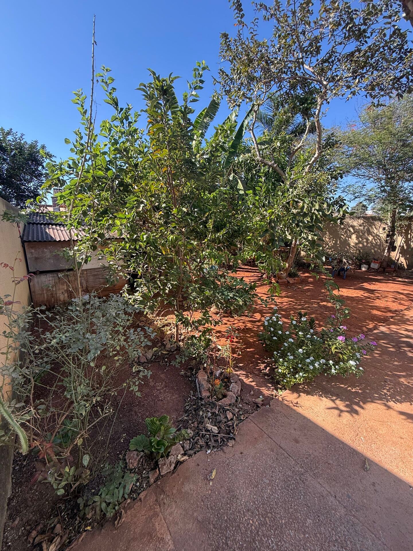 Casa, 2 quartos, 260 m² - Foto 7