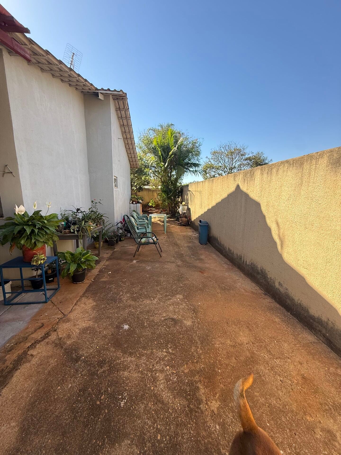 Casa, 2 quartos, 260 m² - Foto 8