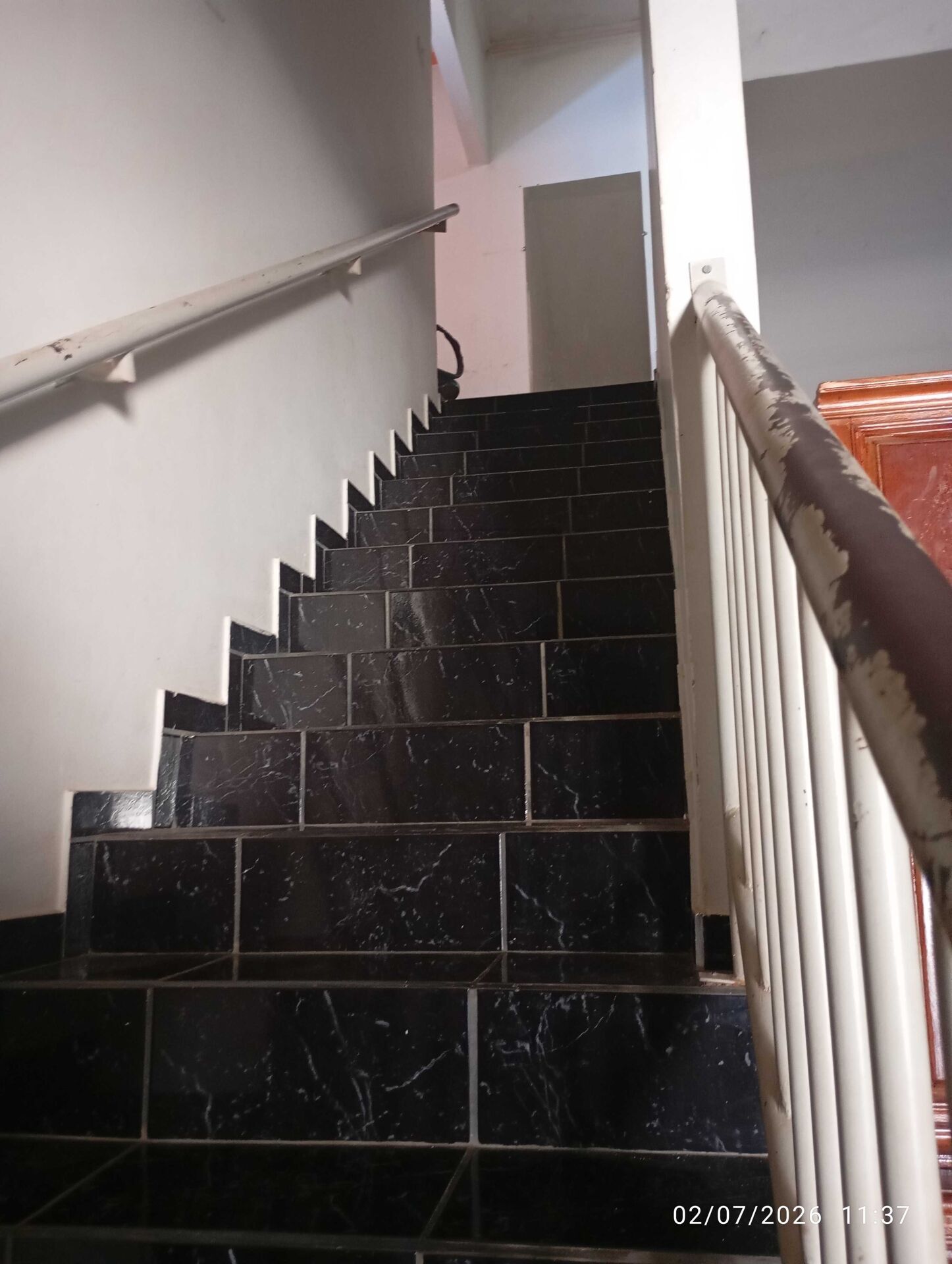 Casa, 4 quartos, 364 m² - Foto 18
