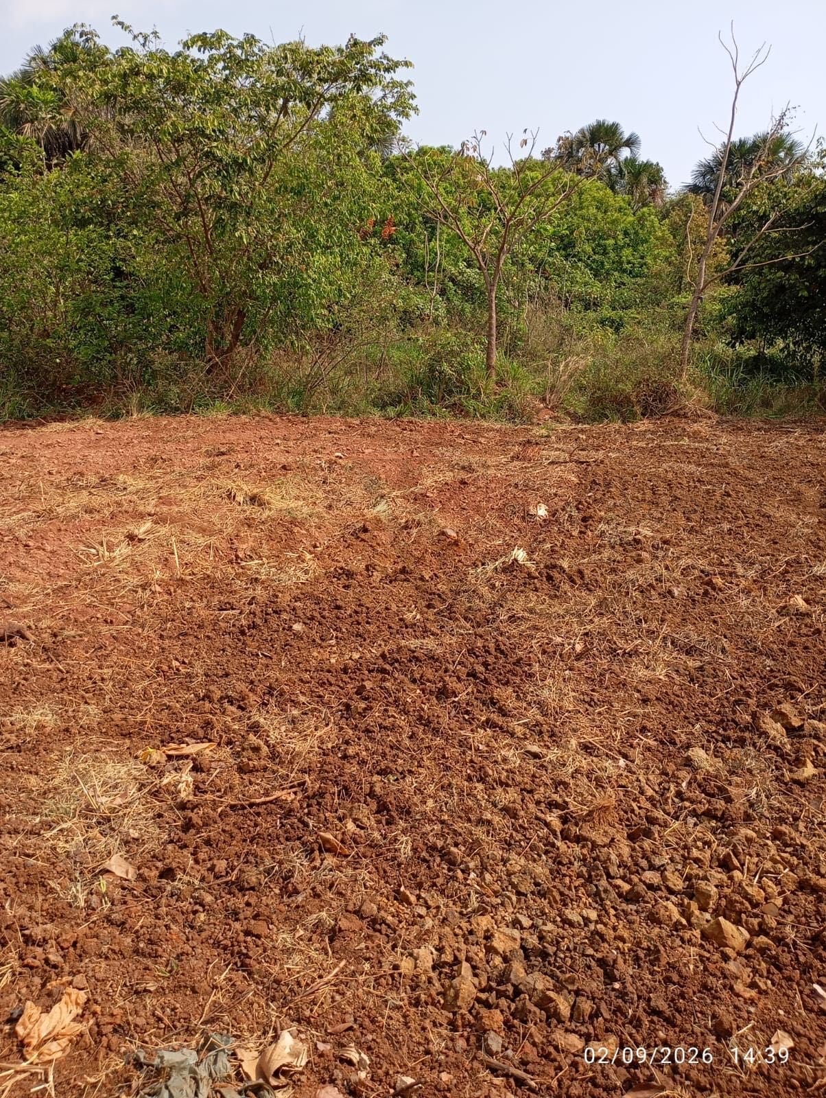 Sítio, 1 m² - Foto 1