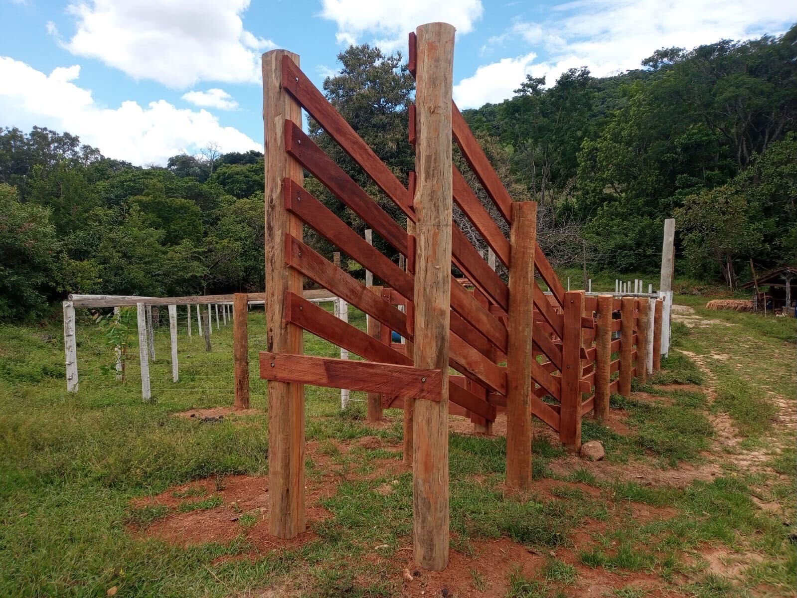 Sítio, 3 hectares - Foto 1